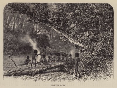 Cuisson des ignames (gravure) - English School