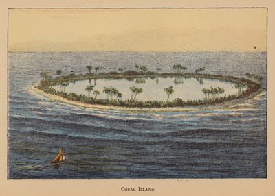 Île de corail - English School