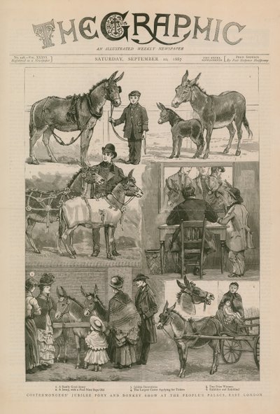 Spectacle de poneys et d