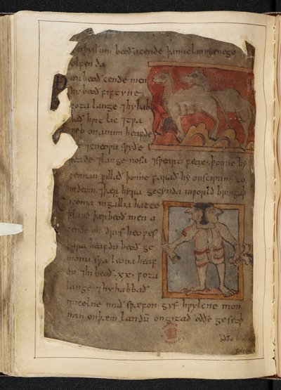 Beowulf, du 