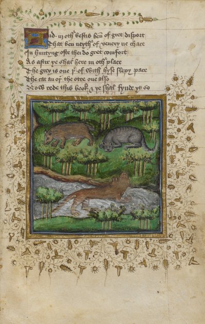 Illustration d