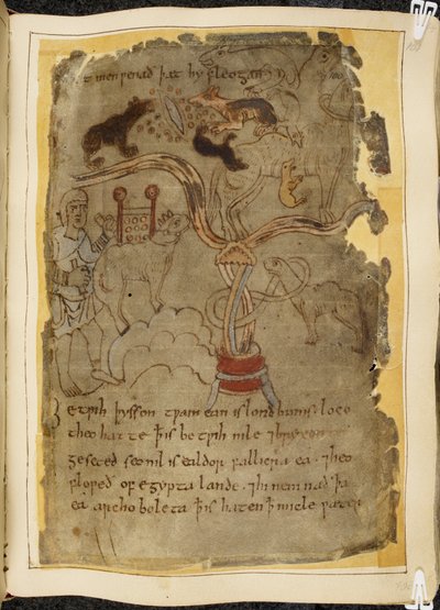 Cotton Vitellius A. XV, f.101r, Trois fourmis ressemblant à des chiens attaquant un chameau attaché, homme en tunique, illustration de Beowulf, du 
