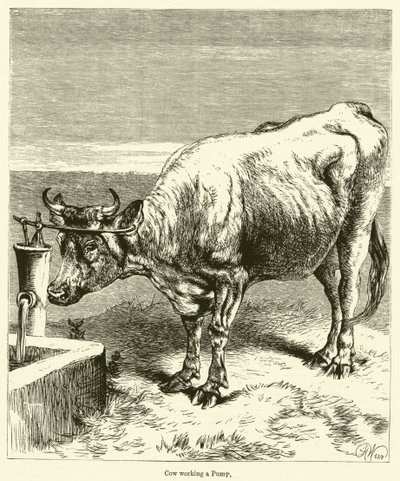 Vache actionnant une pompe (gravure) - English School