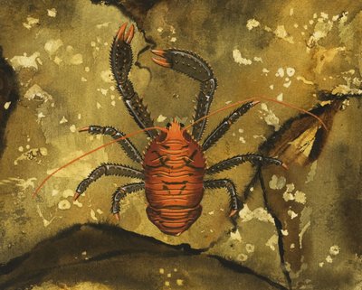 Crabe - English School