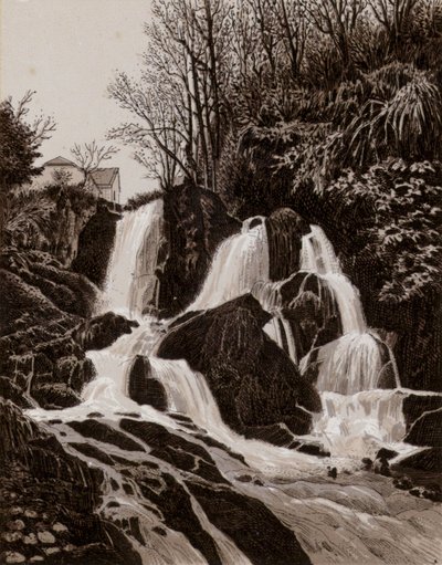 Chutes de Crawfordsburn - English School