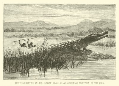 Chasse au crocodile par les Arabes Hamran dans un affluent abyssinien du Nil - English School