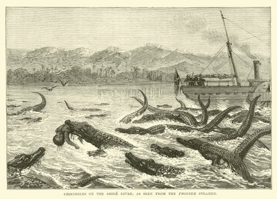 Crocodiles sur la Rivière Shire, vus depuis le Steamer Pioneer - English School