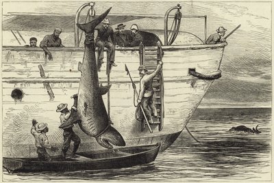 Découpe d