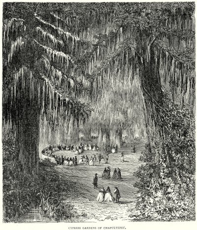 Jardins de cyprès de Chapultepec (gravure) - English School