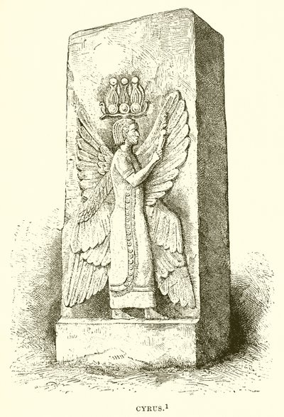 Cyrus - English School