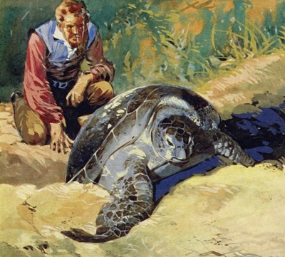 Darwin se demandait pourquoi les tortues géantes des îles Galápagos différaient sur chaque île - English School