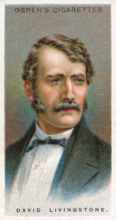 David Livingstone - English School