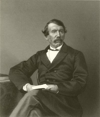 David Livingstone - English School