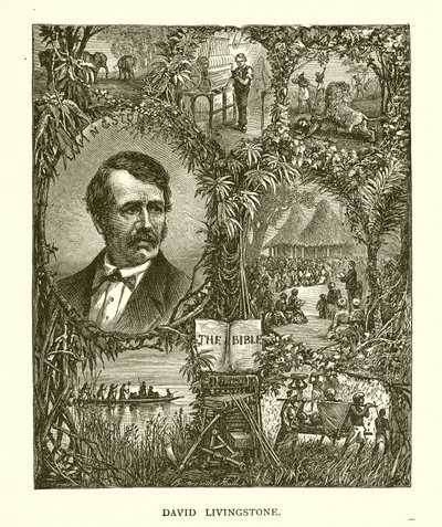 David Livingstone - English School