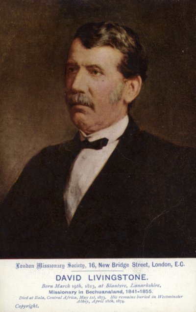 David Livingstone - English School