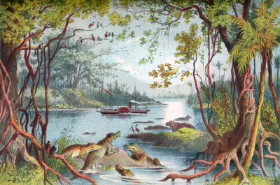 Le navire de David Livingstone, Le Ma-Robert, sur le fleuve Zambèze, Afrique, lors de son expédition sur le Zambèze au XIXe siècle. De La Vie et les Explorations du Dr. Livingstone publié vers 1875 - English School