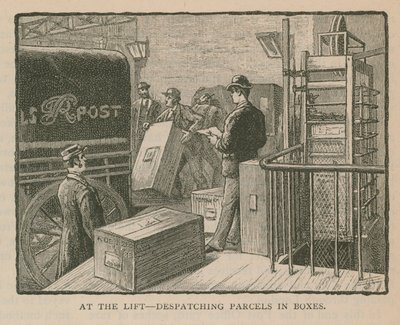 Expédition de colis en boîtes - English School