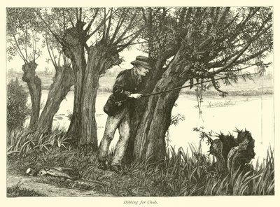 Pêche à la ligne pour le chevesne - English School