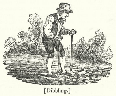 Dibbling - English School