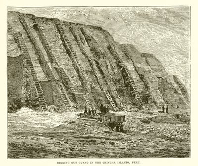 Extraction de guano dans les îles Chincha, Pérou - English School
