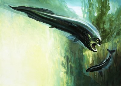 Dinichthys - English School