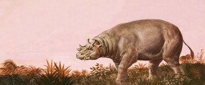 Dinosaure - English School