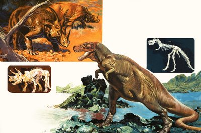 Dinosaures et Squelettes. Stegosaurus et Tyrannosaurus - English School