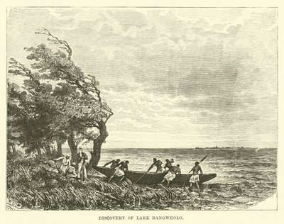 Découverte du Lac Bangweolo - English School