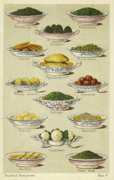Plats de légumes - English School