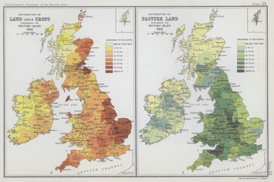 Répartition des terres cultivées, répartition des pâturages - English School