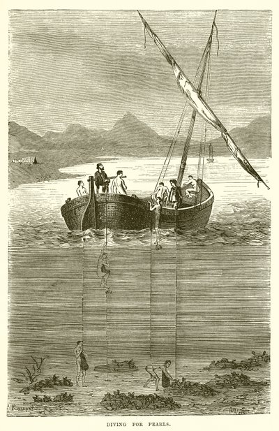 Plongée pour les perles - English School