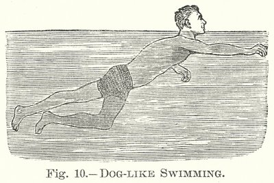 Nager comme un chien (gravure) - English School