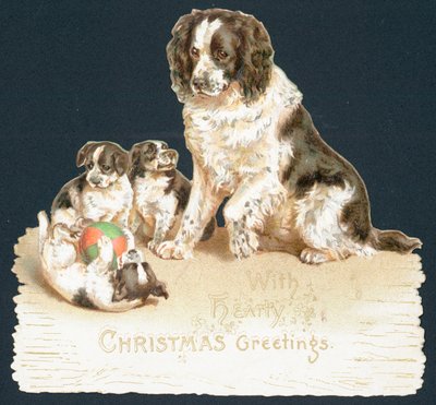 Chien et chiots - English School