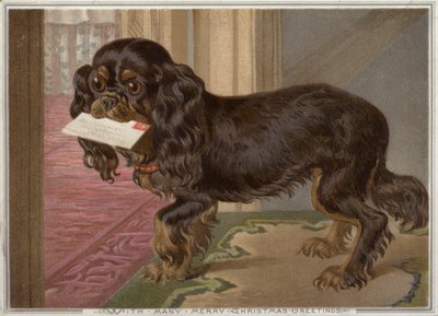 Chien portant une lettre dans sa bouche - English School