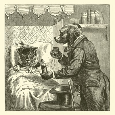Chien donnant des pilules à un chat malade - English School