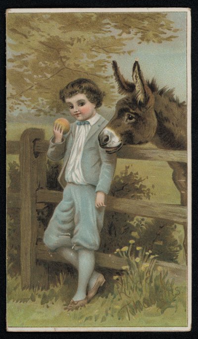 Âne regardant un garçon avec une pomme, carte de vœux - English School