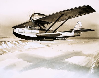 Dornier Wal, hydravion allemand bimoteur - English School