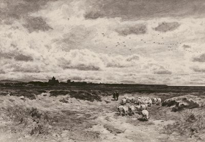 Dornoch, d