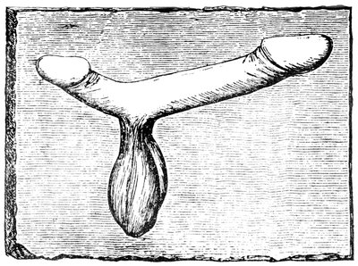 Double phallus du linteau d