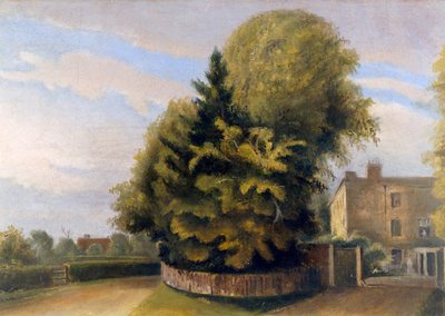 Maison de Down depuis le nord - English School