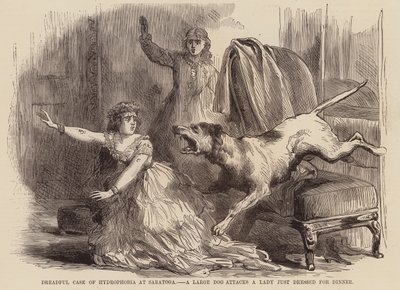 Cas effroyable de rage à Saratoga, un gros chien attaque une dame juste habillée pour le dîner - English School
