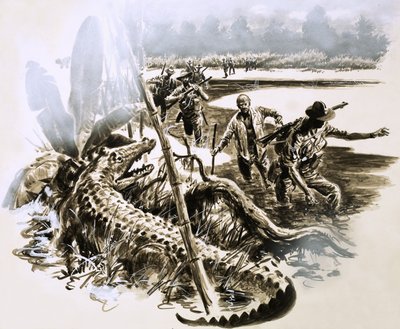 Vêtu uniquement de son pyjama, Harry Murray a plongé dans les marais infestés de crocodiles de Nouvelle-Guinée. - English School