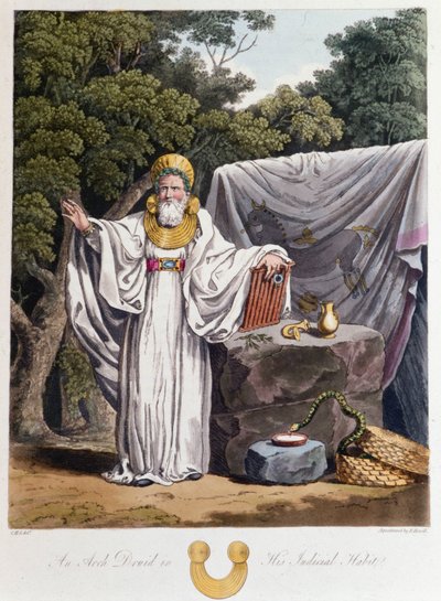 Druide - dans « Celtes et Goths, coutumes des habitants des îles britanniques du début du 6e siècle et des nations gothiques de la côte ouest de la Baltique », par S.R. Meyrick et Ch. Smith - English School