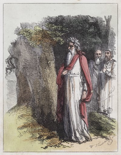 Druides - English School