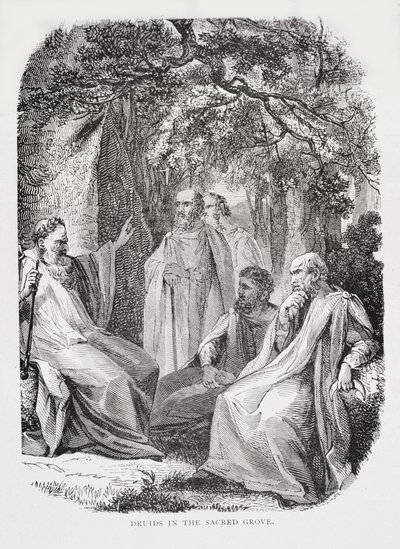 Druides dans le bosquet sacré, de L