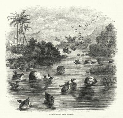Chasse au Canard avec des Gourdes - English School