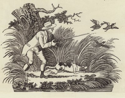 Chasse au canard - English School