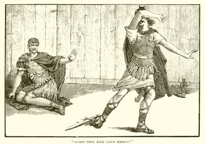 Oserais-tu tuer Caius Marius? - English School