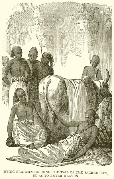 Brahmane mourant tenant la queue de la vache sacrée pour entrer au paradis - English School
