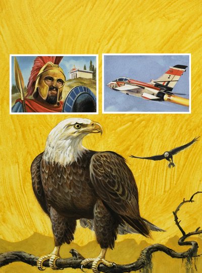 Aigle - English School